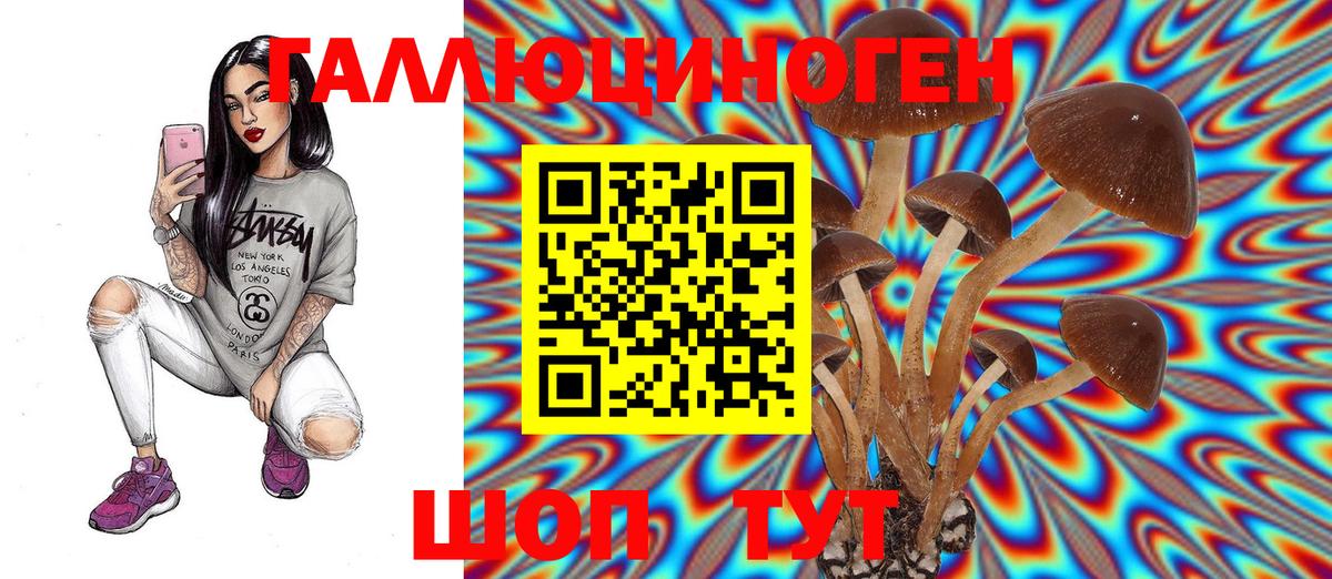 Галлюциногенные грибы Magic Shrooms  Псилоцибиновые грибы Magic Shrooms  Вход с VPN  Шадринск 